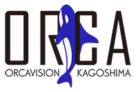 ORCA-VISION WEB SITE